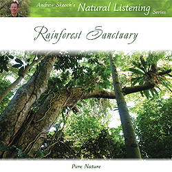 Rainforest Sanctuary