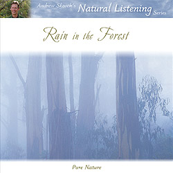 Rain in the Forest