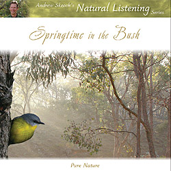 Springtime in the Bush