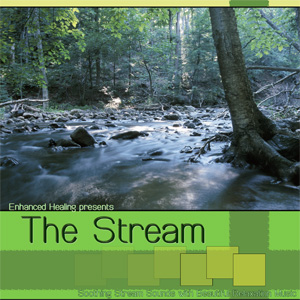The Stream