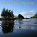 Inner Peace and The Stream