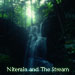 Niterain and The Stream