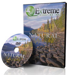 Natural Interludes