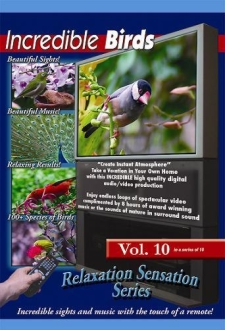Incredible Birds (Volume 10)
